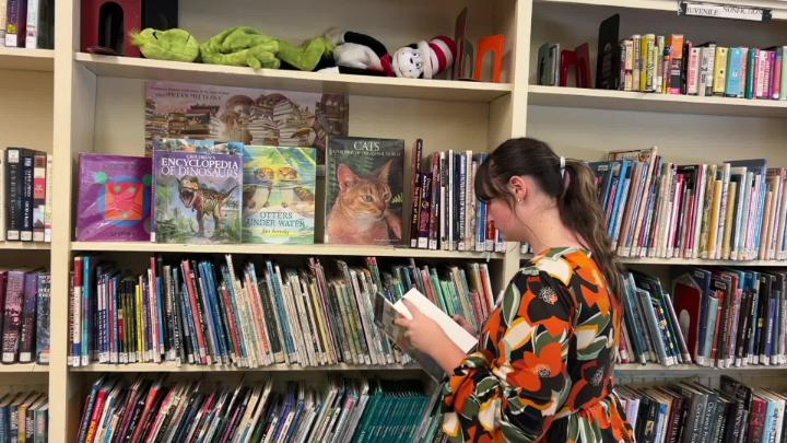 Thumbnail image for Lowgap Public Library Heritage Hub