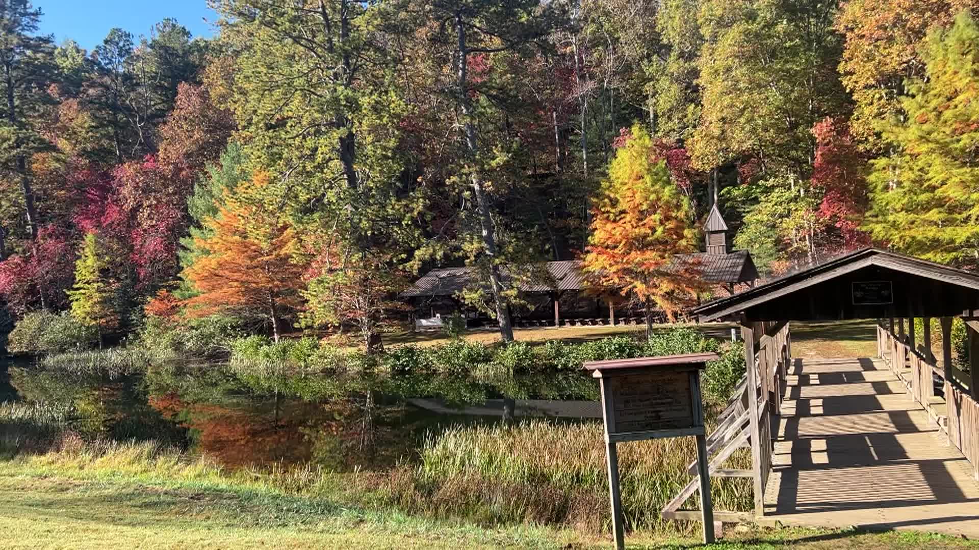 Raven Knob Fall Leaves